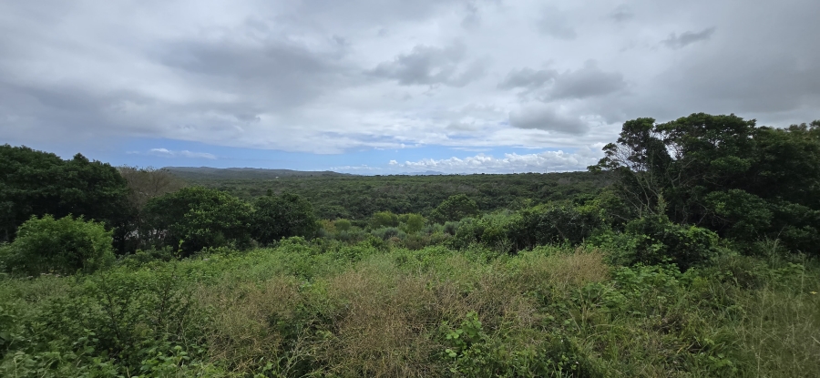 0 Bedroom Property for Sale in Oyster Bay Eastern Cape